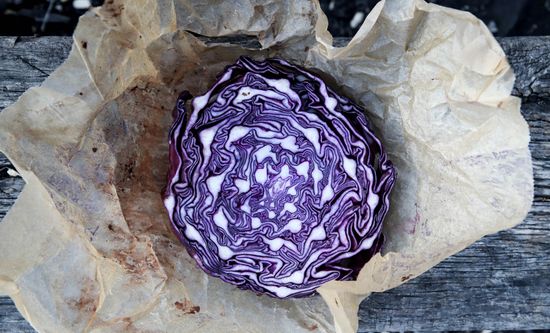 Querschnitt durch einen Rotkohl