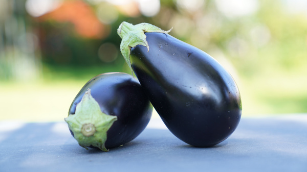 KI generiert: Zwei Auberginen liegen auf einem Tisch im Freien.