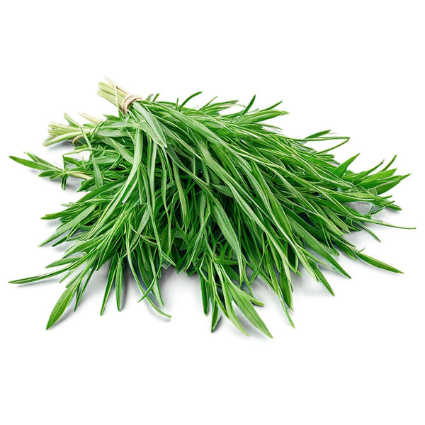 Produktfoto zu Estragon frisch