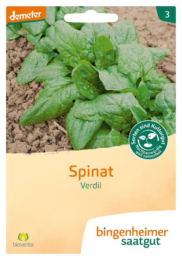 Produktfoto zu Saatgut Spinat Winterriesen Verdil
