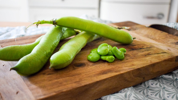 Dicke Bohnen gekocht als Hülse und als Bohne auf einem gemaserten Holzbrett