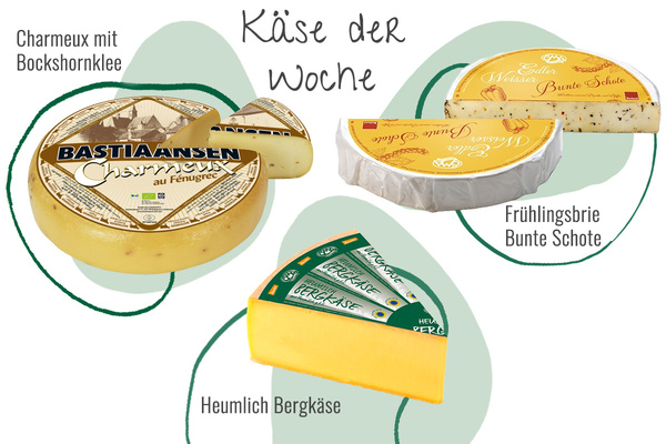 Drei Käsesorten aus der Abokiste in einem Bild