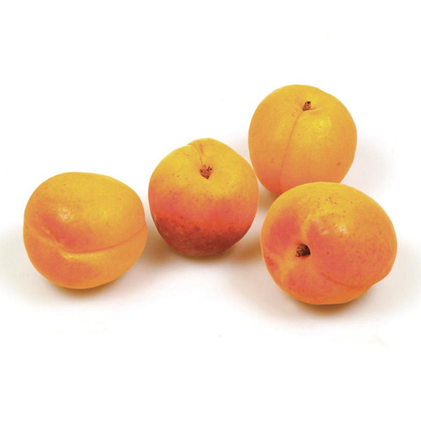Produktfoto zu Aprikosen