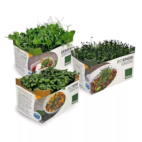 Produktfoto zu FrankenGreens FUNKY (Knobi,Erbse,Senf)