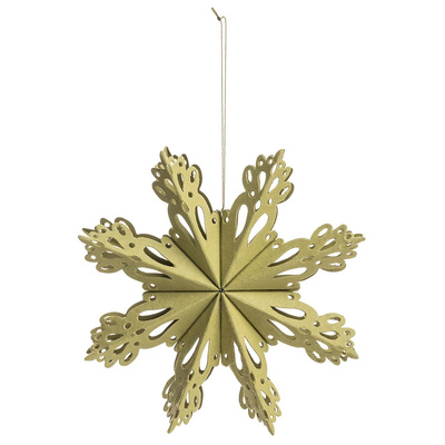 Produktfoto zu Papieranhänger Stern grün