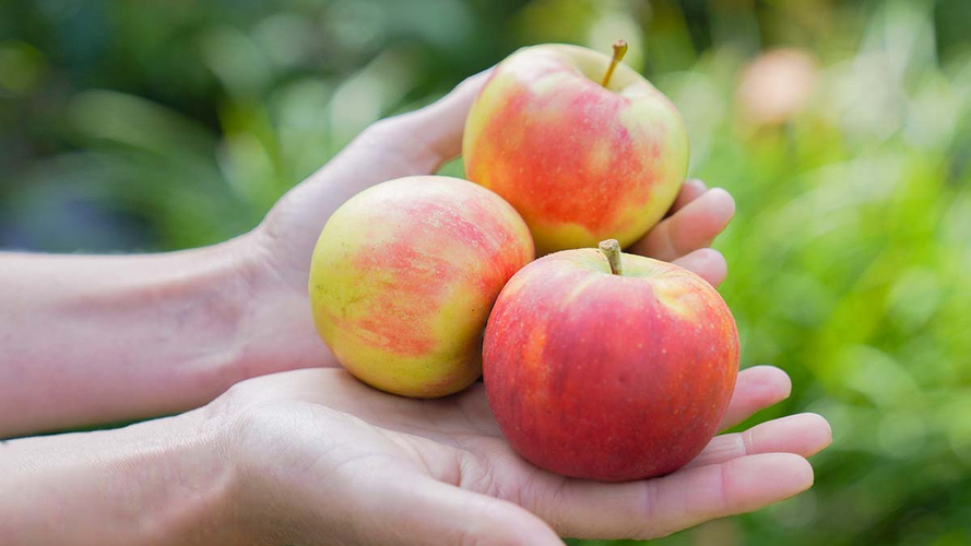 Rezeptbild für Apfel-Ingwer-Konfitüre
