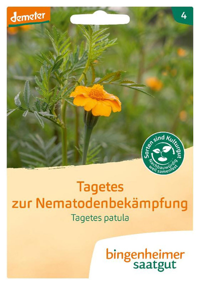 Produktfoto zu Saatgut Tagetes Nematodenbekämpfung