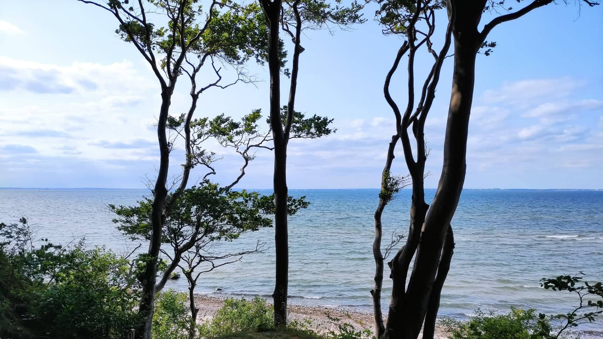 KI generiert: Blick von einem bewaldeten Ufer auf das Meer mit blauem Himmel und Wolken.