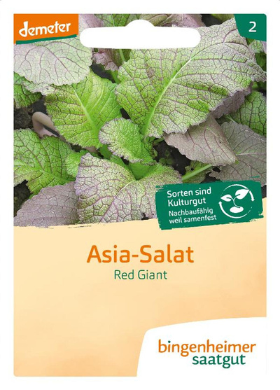 Produktfoto zu Saatgut Asia Salat, Red Giant
