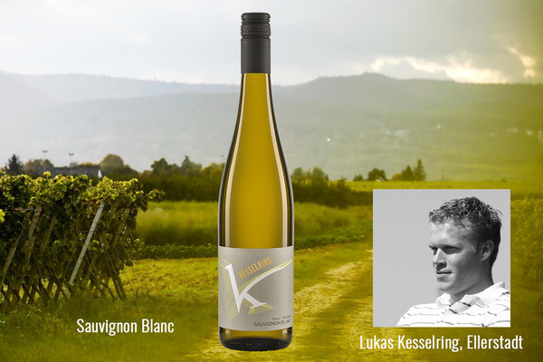 Bildkomposition Weinberg und Winzer zum Wein des Monats Sauvignon Blanc Kesselring
