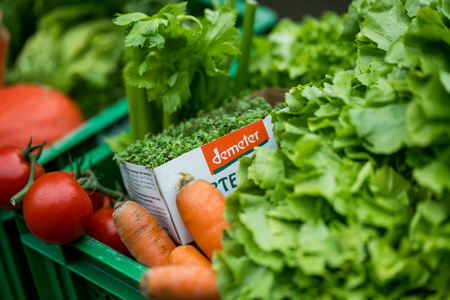 Frisches Gemüse in Kiste, darunter Tomaten, Karotten und Salat. Text: "demeter".