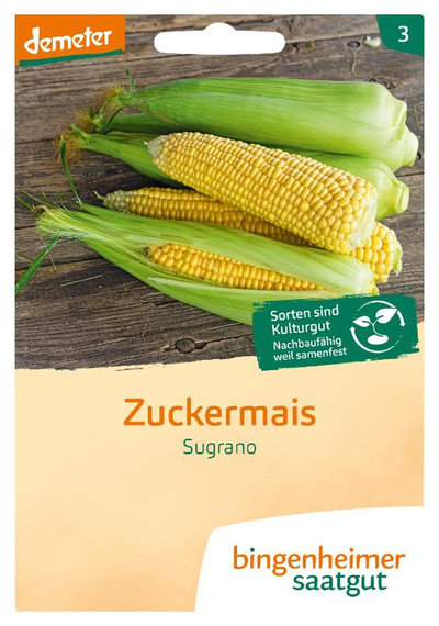 Produktfoto zu Saatgut Zuckermais Sugrano