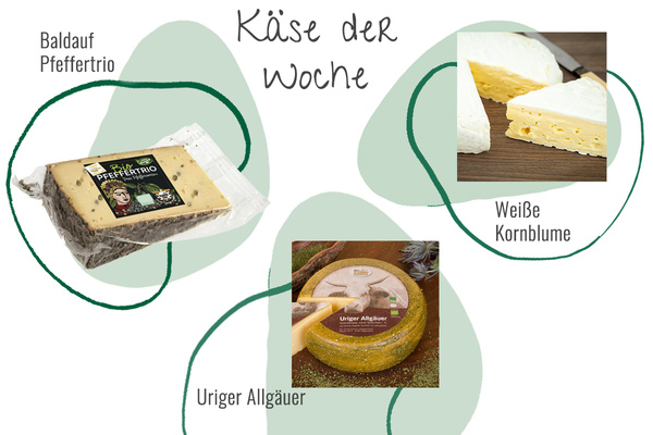 Drei Käsesorten aus der Abokiste in einem Bild