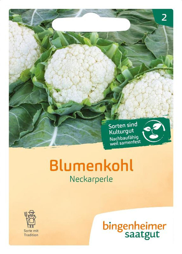 Produktfoto zu Saatgut Blumenkohl Neckarperle