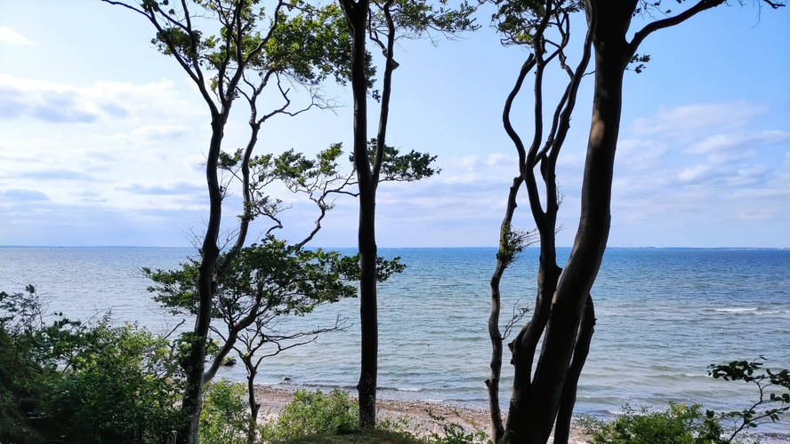 KI generiert: Meerblick durch Bäume mit blauem Himmel und Wolken.