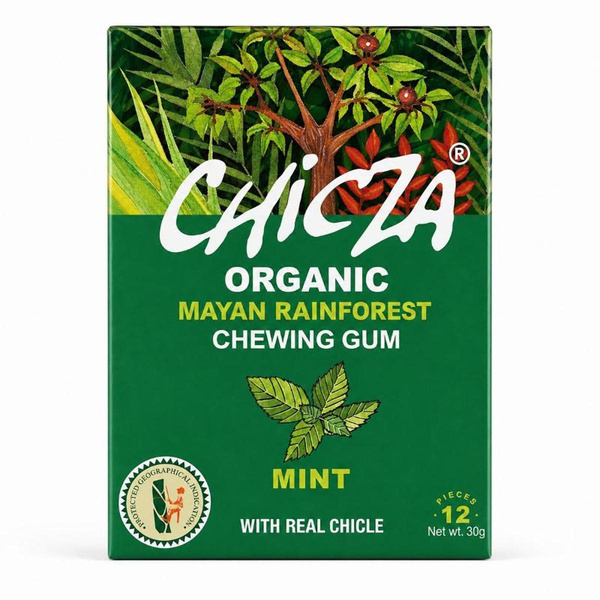 Produktfoto zu Chicza Bio-Kaugummi Minze 30g