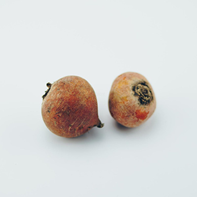 Produktfoto zu Gelbe Bete