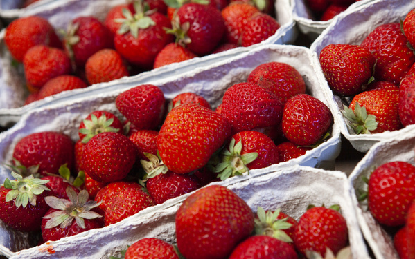 KI generiert: Frische Erdbeeren in weißen Pappschalen angeordnet.