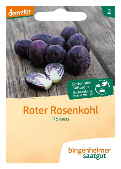 Produktfoto zu Saatgut Roter Rosenkohl