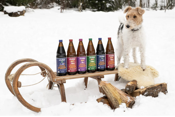KI generiert: Flaschen von Voelkel Hygge Punsch auf einem Schlitten im Schnee, begleitet von einem Hund.