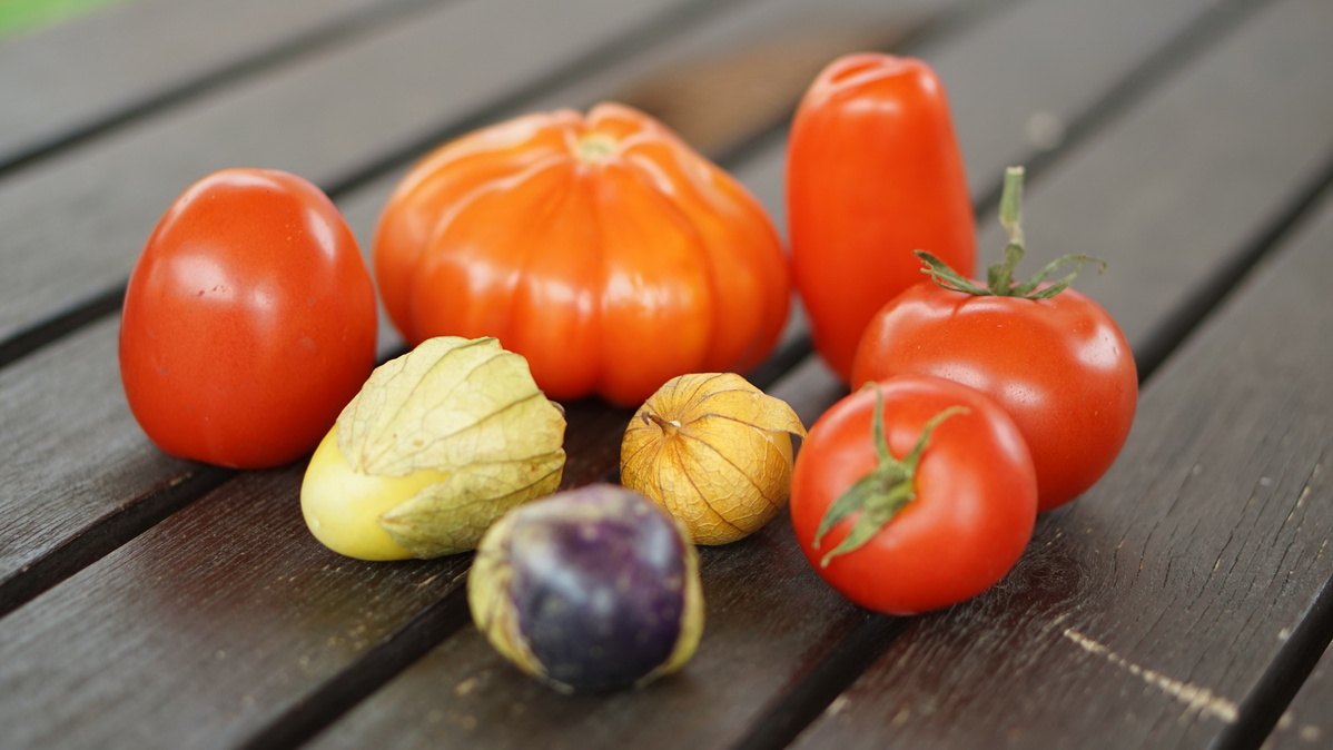 Tomatenauswahl und Tomatillos auf Holztisch