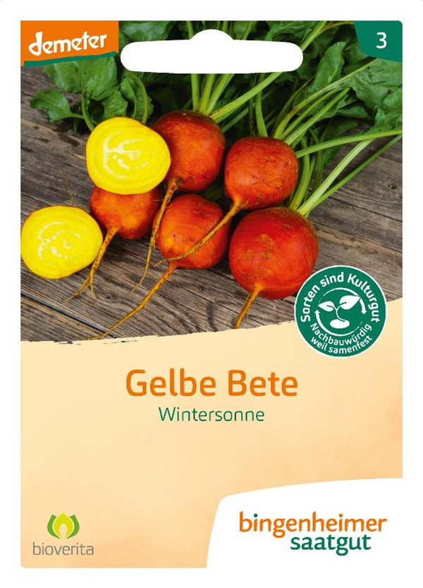 Produktfoto zu Saatgut Gelbe Bete