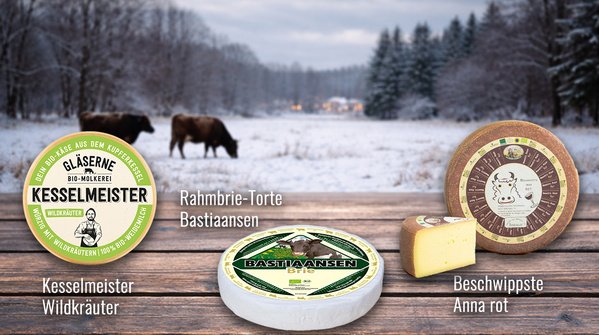 Unser Käse-Trio der Woche