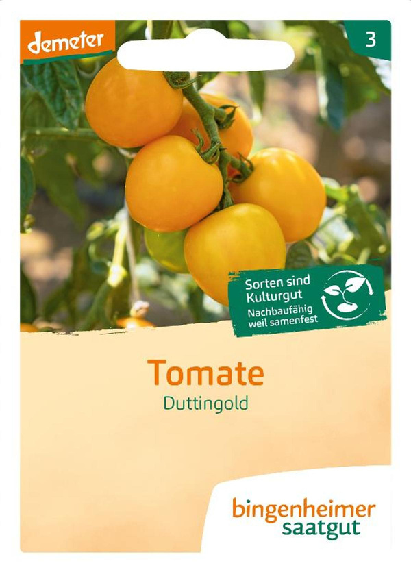 Produktfoto zu Saatgut Tomate Duttingold