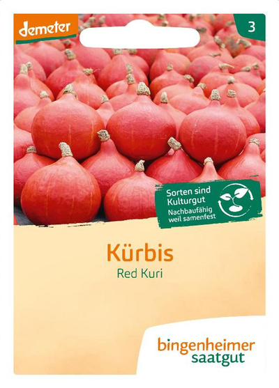 Produktfoto zu Saatgut Kürbis Hokkaido Red Kuri