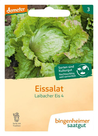 Produktfoto zu Saatgut Eissalat Laibacher Eis