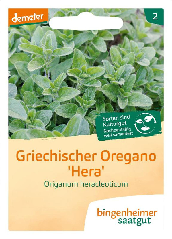 Produktfoto zu Saatgut griech. Oregano