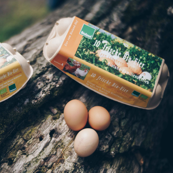 Bio-Eier und Eierkarton