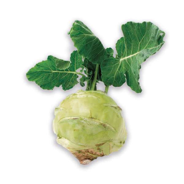 Produktfoto zu kleiner Kohlrabi Superschmelz