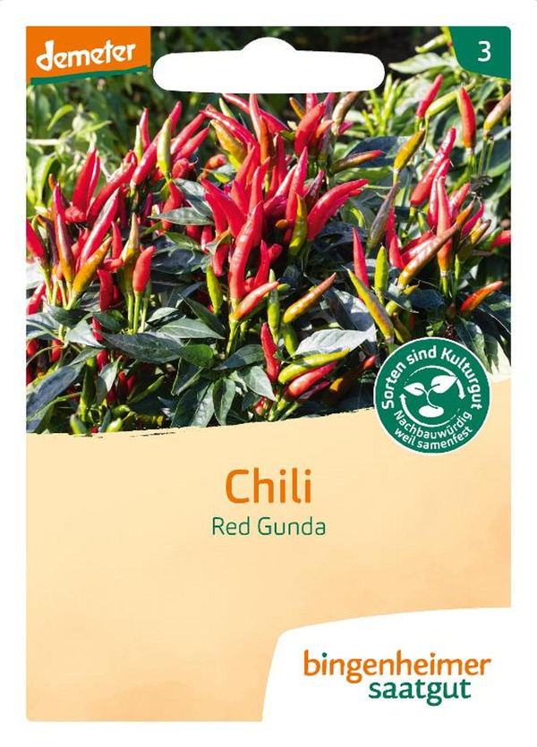 Produktfoto zu Saatgut Chili Red Gunda