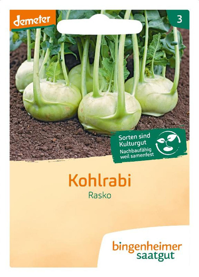 Produktfoto zu Saatgut Kohlrabi Rasko