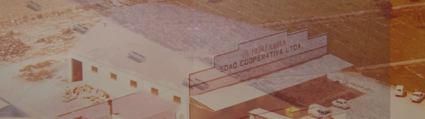 KI generiert: Das Bild zeigt ein großes Industriegebäude mit der Aufschrift "Hortamira Soc. Cooperativa Lda." aus dem Jahr 1981. Es ist von einem weitläufigen, offenbar landwirtschaftlich genutzten Gelände umgeben.