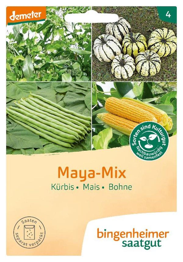 Produktfoto zu Saatgut Mischung Maja-Mix, Kürbis, Mais, Bohne