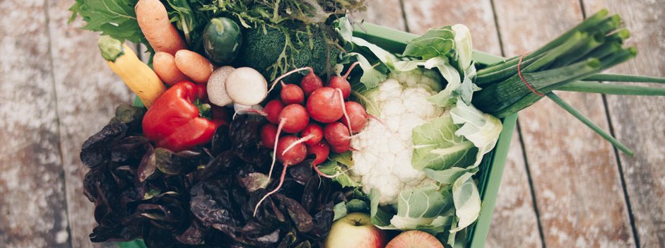 Grünland Biokiste Ökokiste mit frischem Gemüse und Apfel gefüllt