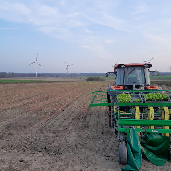 Hof Brummelkamp Ackerbild mit Trecker nach Anpflanzung