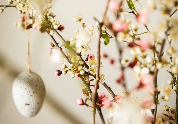 KI generiert: Ein bemaltes Osterei hängt an blühenden Zweigen mit weißen und rosafarbenen Blüten.