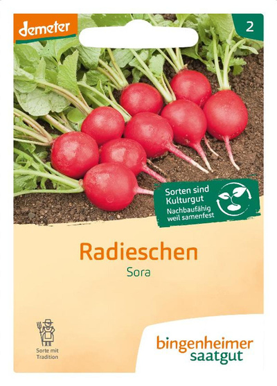 Produktfoto zu Saatgut Radies Sora