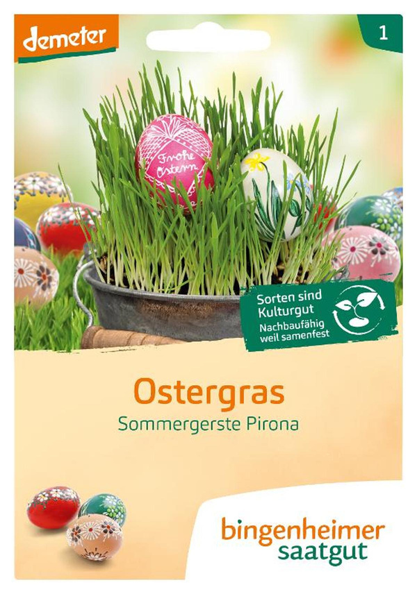 Produktfoto zu Saatgut Ostergras - Sommergerste Pirona
