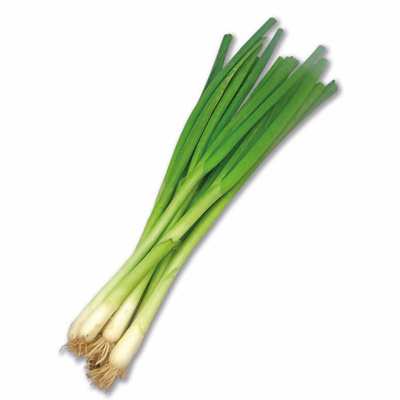 Produktfoto zu Lauchzwiebeln