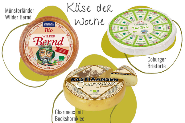 Drei Käsesorten aus der Abokiste in einem Bild