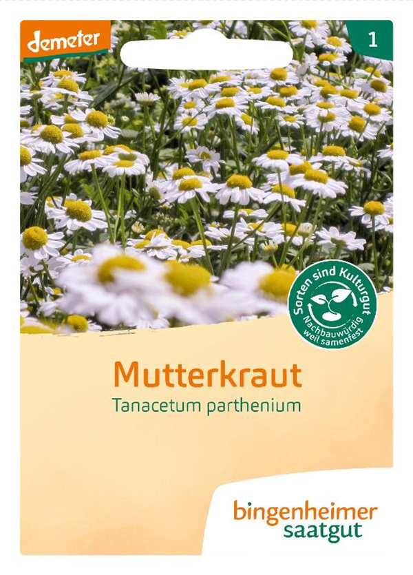 Produktfoto zu Saatgut Mutterkraut