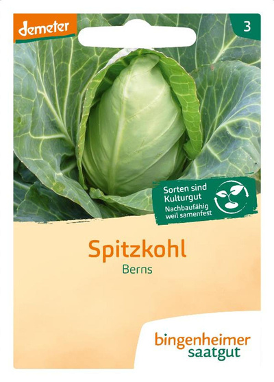 Produktfoto zu Saatgut Spitzkohl