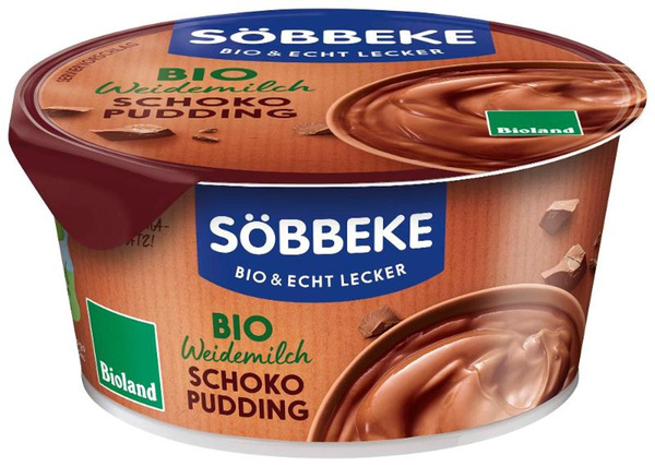 Produktfoto zu Schoko-Pudding, 3,5% 150g Becher