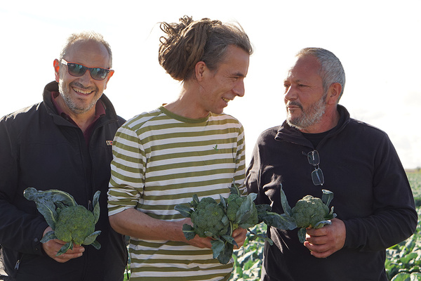 Felix mit den Gebrüdern Lauro am Rande des Brokkoli-Feldes
