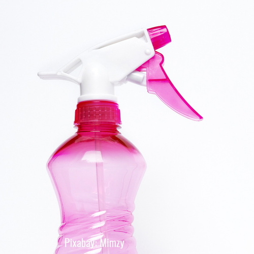Sprühflasche für Wasser zur Wespenvertreibung