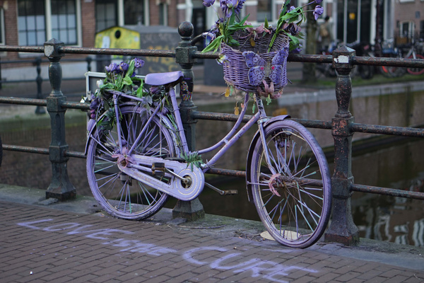 Blumenfahrrad_love_is_the_cure